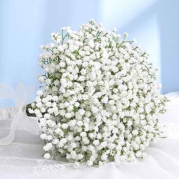 Baby's Breath